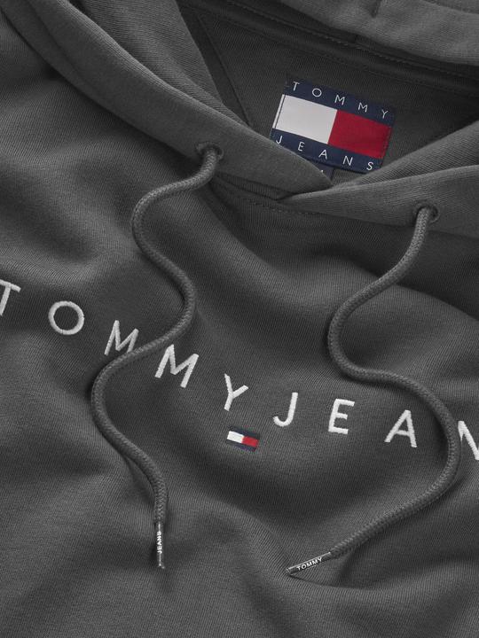 Image du produit Tommy Jeans Tjm Reg Linear Logo Hoodie Ext (L)
