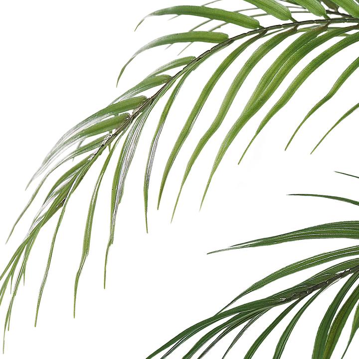 Immagine prodotto Beliani Areca Palm (124 cm)