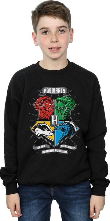Produktbild Hogwarts Toon Crest Sweatshirt Jungen (140, 146)