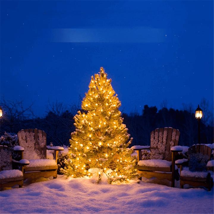 Produktbild Cover-Discount LED Lichterkette (30 m)