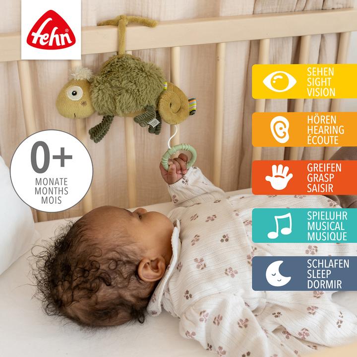 Productafbeelding Fehn Mini-Spieluhr Chamäleon