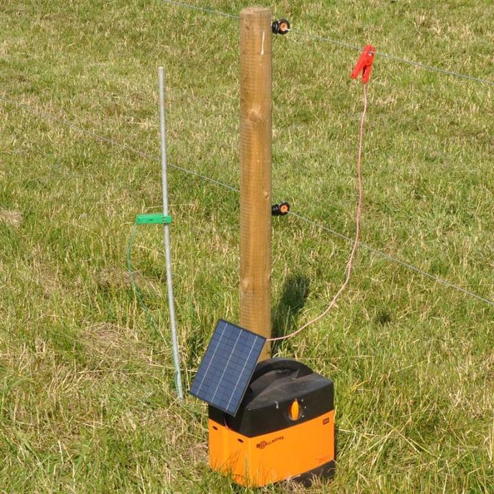 Actual product image Gallagher Earth spike with clamp
