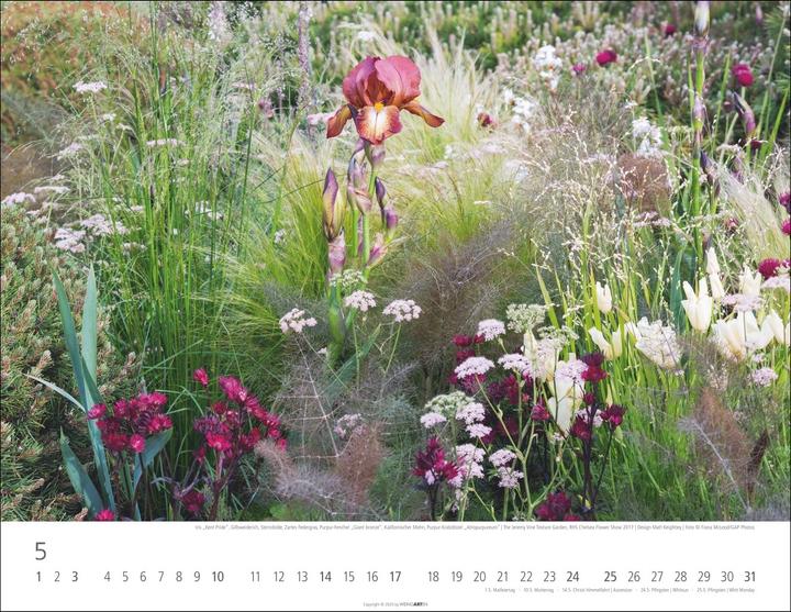 Immagine prodotto Gräser Kalender 2026 (44 x 34 cm)