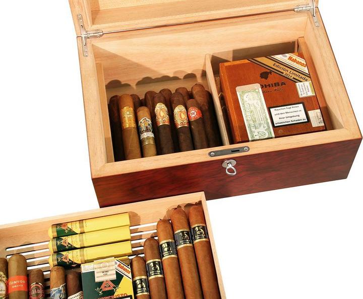 Actual product image adorini Humidor Trieste Basic L