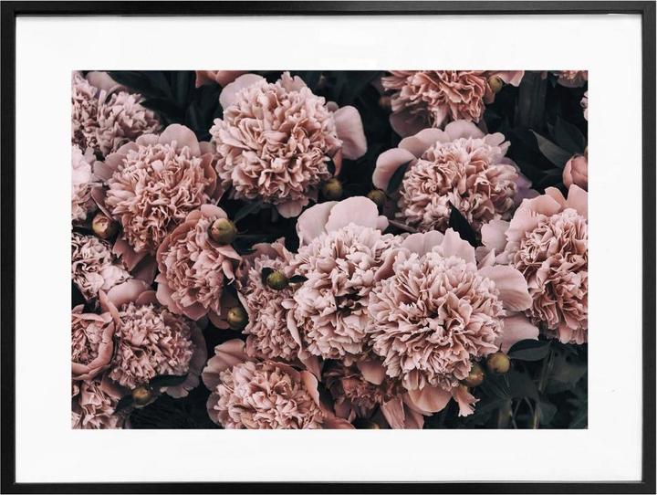 Immagine prodotto Trenddeko Peonie rosa (40 x 30 cm)