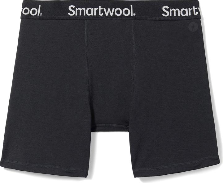 Actual product image Smartwool Ms Sport Boxer Brief (M)