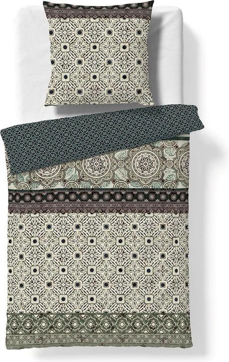 Fleuresse Alkmaar grün