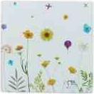 Actual product image Typhoon Botanics Set of 4 Coasters (4x, Glass coaster)