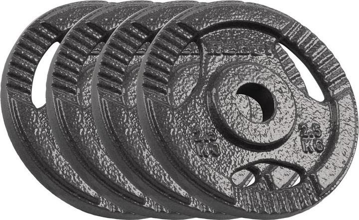 Actual product image Rebel Cast iron dumbbell set 4x2 5kg 31mm disc with handles ACTIVE (1 x 5 kg)