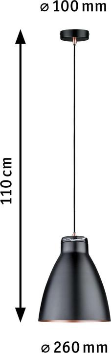 Produktbild Paulmann Neordic Roald (E27)