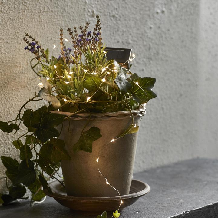 Image du produit Schönenberger Goutte de rosée (5 m)