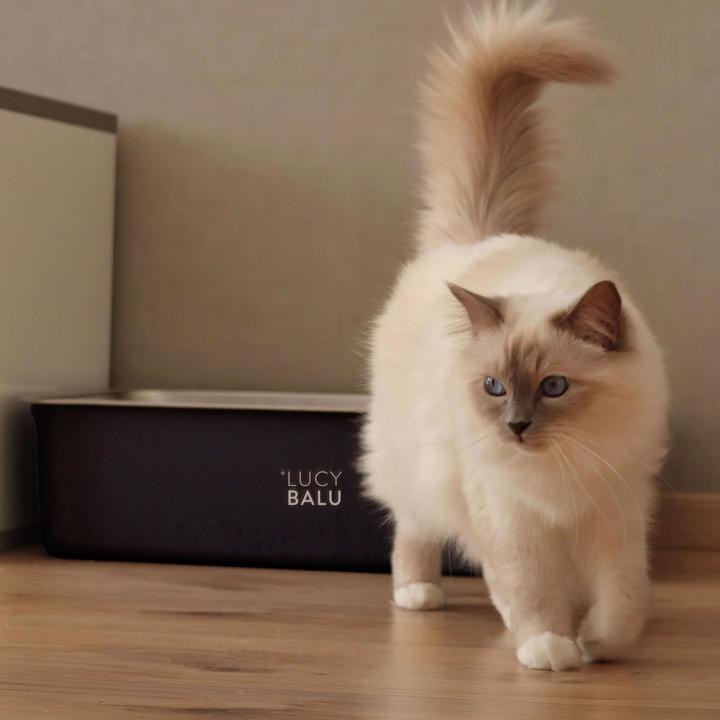 Produktbild LucyBalu Steeloo (Katzenklo offen)