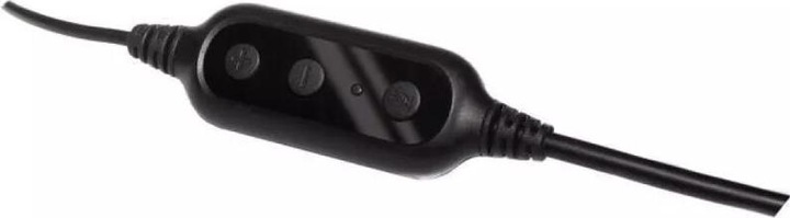 Actual product image Logitech PC 960 (Cable, USB-A)
