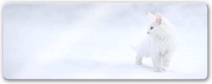 Image du produit Trenddeko Prexus - Blanc comme neige (80 x 30 cm)