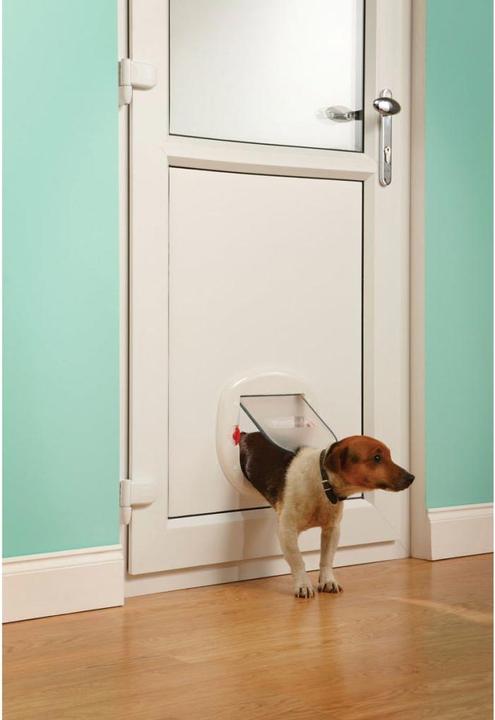 Produktbild Staywell Katzentüren 201 (Manuelle Katzenklappe)