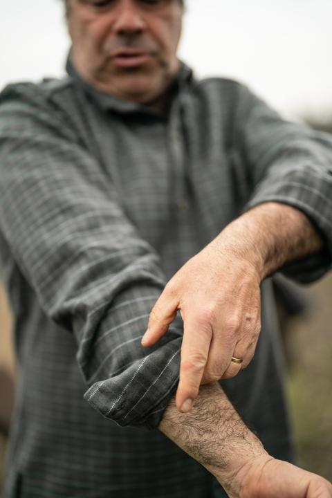 Actual product image Solognac 100 (XL)