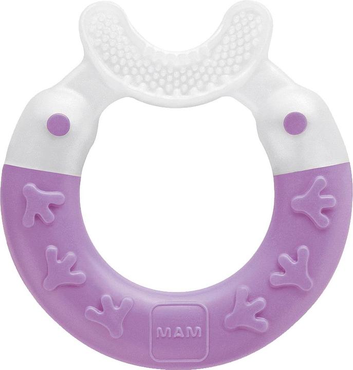 Actual product image MAM Bite & Brush