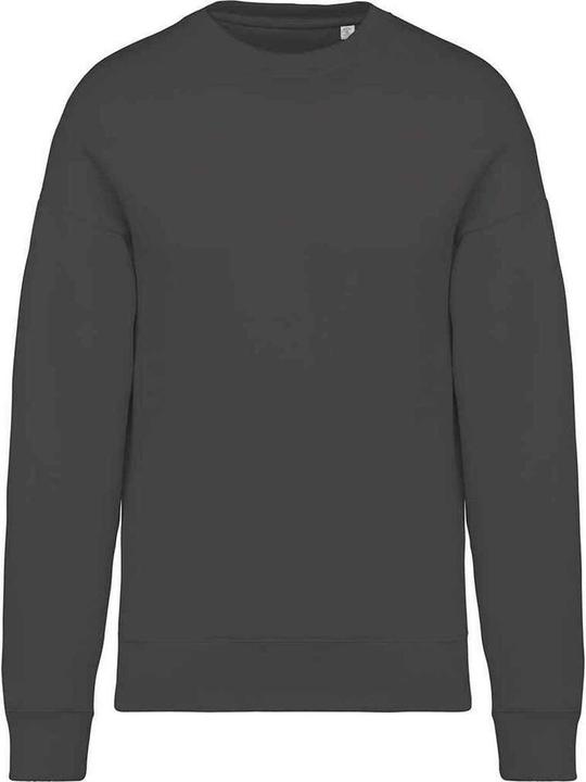 Actual product image Native Spirit Sweatshirt Oversized (L)
