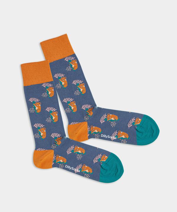 Image du produit DillySocks Comfy Koala (Une unité par pack, 41 - 46)