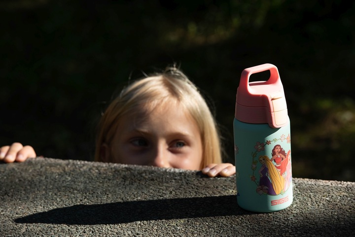 Image du produit Sigg Shield One (0.50 l)