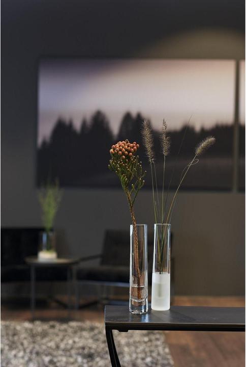 Actual product image Leonardo Novara (4x)