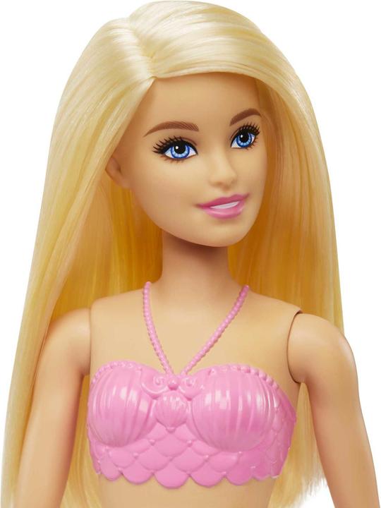 Produktbild Barbie HGR05