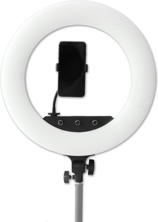 Caruba Vlogger 18 pouces RGB LED, kit avec sac Rose (Éclairage annulaire)