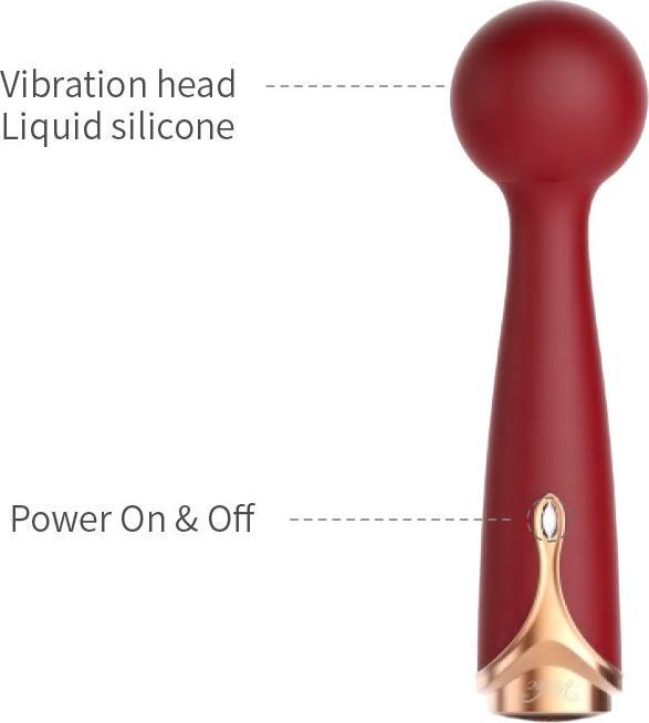 Actual product image Viotec Firelick Mini Wall Vibrator