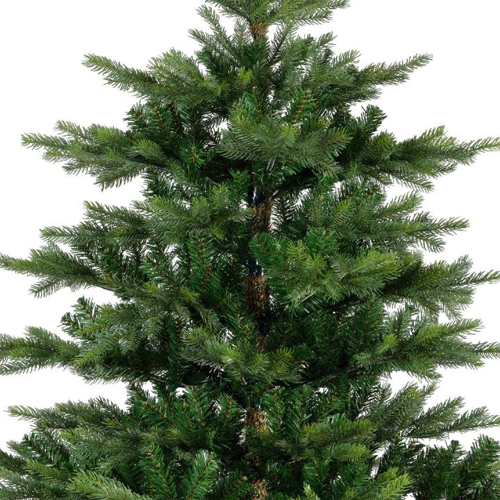 Produktbild Everlands Grandis Tanne 681452 210cm (210 cm)