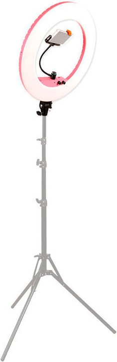 Immagine prodotto Caruba Vlogger 18 pollici LED rotondo, Set economico con borsa Rosa (Anello di luce)