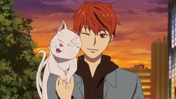 Immagine prodotto Midnight Occult Civil Servants - Volume 2 (Ep. 5-8) (DVD) (DVD, Tedesco, Giapponese)