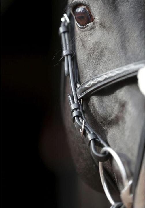 Productafbeelding Kerbl Snaffle hoofdstel Cancun zwart, Cob