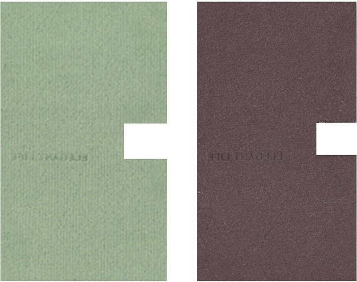 Produktbild VSGO Digital Screen Mwah Wipes Green