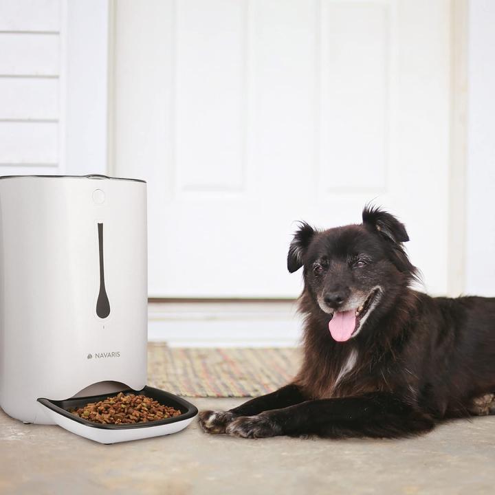 Actual product image Navaris Automatic Feeder White (6 l)