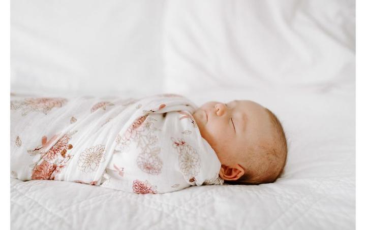 Produktbild aden + anais Swaddles (120 cm, 120 cm)