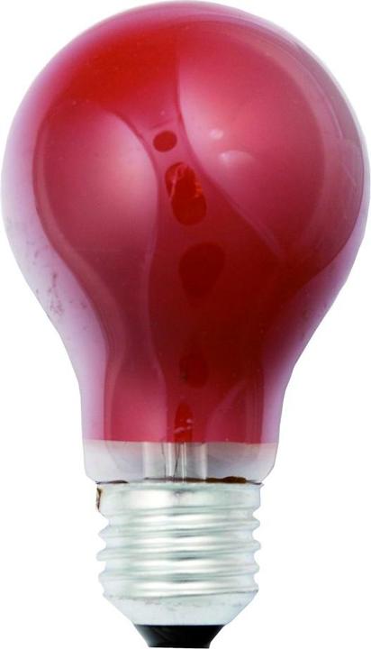 Image du produit Scharnberger+Hasenbein Lampe universelle Scharnberg (E27, 10 lm, 1 x)