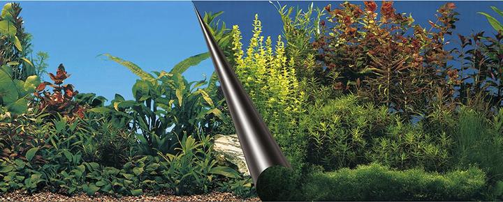 Actual product image EBI Photo back wall (Embellishment, other items)