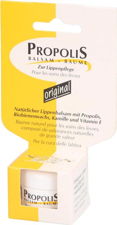 Produktbild Remmele Balsam Tiegel (Lippenbalsam, 5 ml)