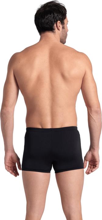 Actual product image Arena M Reflecting Swim Short