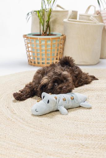 Immagine prodotto Beeztees Giocattolo per cani Puppy Crocodile Jake (Cane di peluche)
