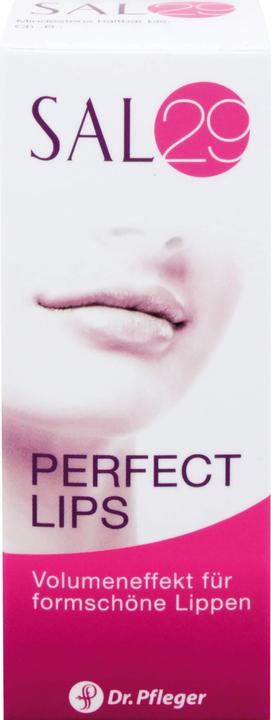 Produktbild Dr. Pfleger SAL29 Perfect Lips Lippenpflege, 4 g Creme (Lippencrème)