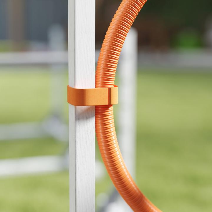 Produktbild PawHut Agility Set Tannenholz, Kunststoff Weiss (Agility)
