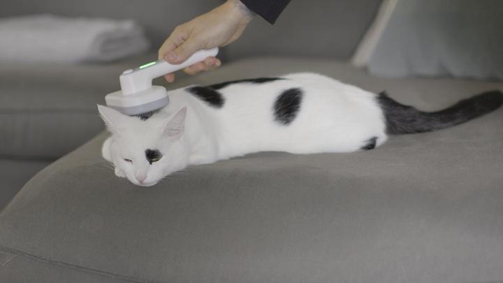 Produktbild MediaShop Tierhaarbürste (Hund, Katze)