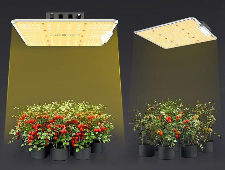 Image du produit Spider Farmer SF1000 (LED, 240 V)