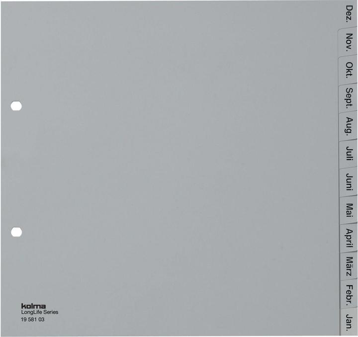 Actual product image Kolma Index A4 partially opaque Dec-Jan (en) 12-piece grey