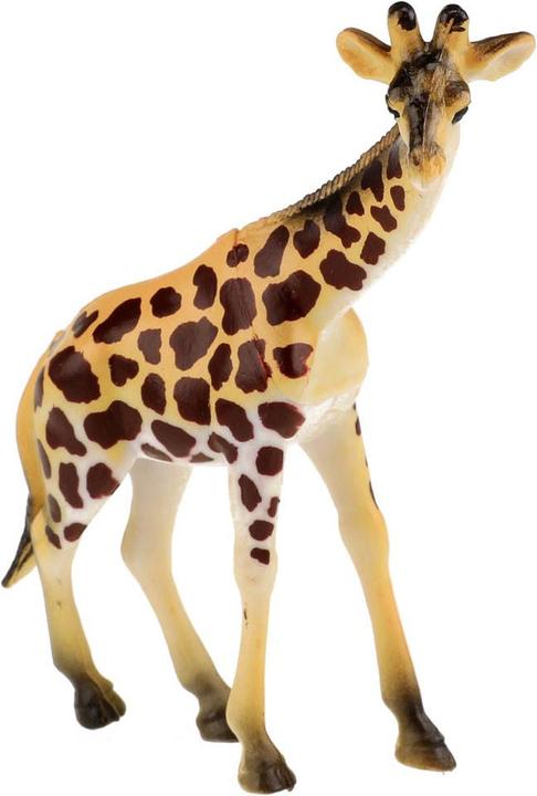 Actual product image Toi-Toys Animal World Wild Animals Deluxe, 5pcs.