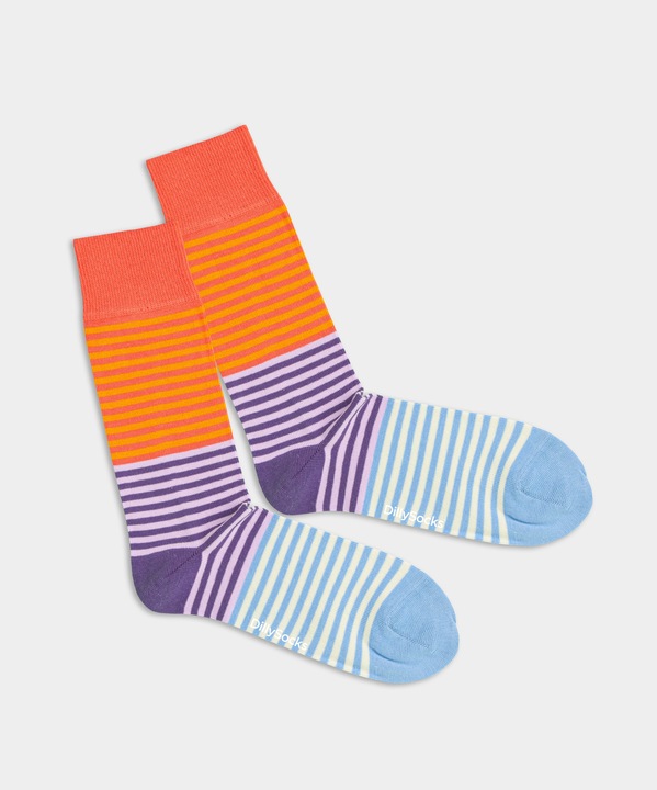 Actual product image DillySocks Four Ward (Single pack, 41 - 46)
