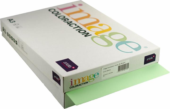 Image du produit Image Papier à copier Forest A3 (A3, 500 feuilles, 80 g/m²)