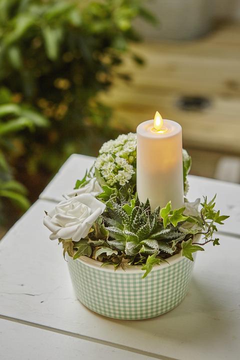 Actual product image Star Trading M-Twinkle (1 x)