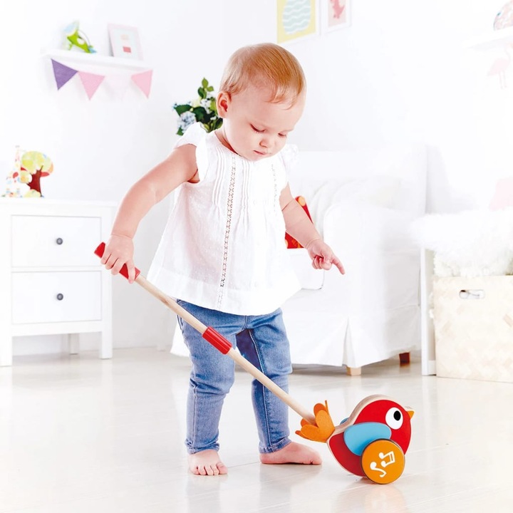Image du produit Hape Pusher Lilly